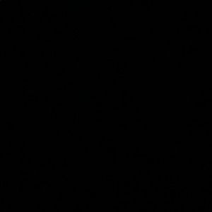 Meet your Posher, Bailey